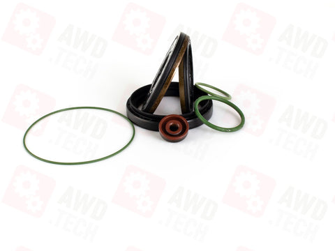 Sealing Kit (for 95B)