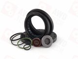 Sealing Kit (for Maserati ATC)