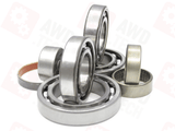 Bearing Kit (for PL72 T)